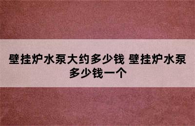 壁挂炉水泵大约多少钱 壁挂炉水泵多少钱一个